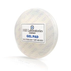 transparent ultrasound gelHF54-001
