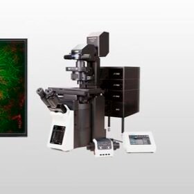 confocal laser scanning microscopeFV4000