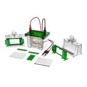 vertical electrophoresis tankBK-VET01