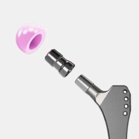 revision hip prosthesisBioBall®