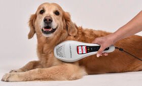 veterinary biostimulation laserPowerTwin XP5