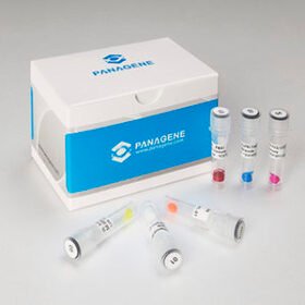 solution reagent kit