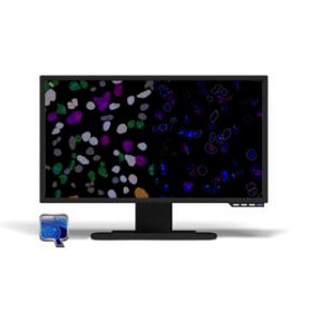FISH software moduleFISHQuant