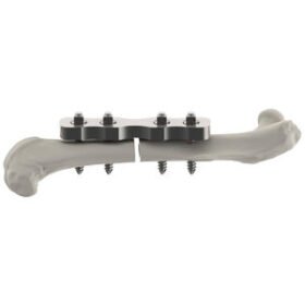 femur veterinary bone plateMouseFix