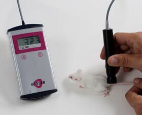 rodent thermometerBIO-IRB153