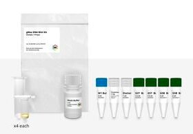 proteinase K reagent kitGMAX MINI