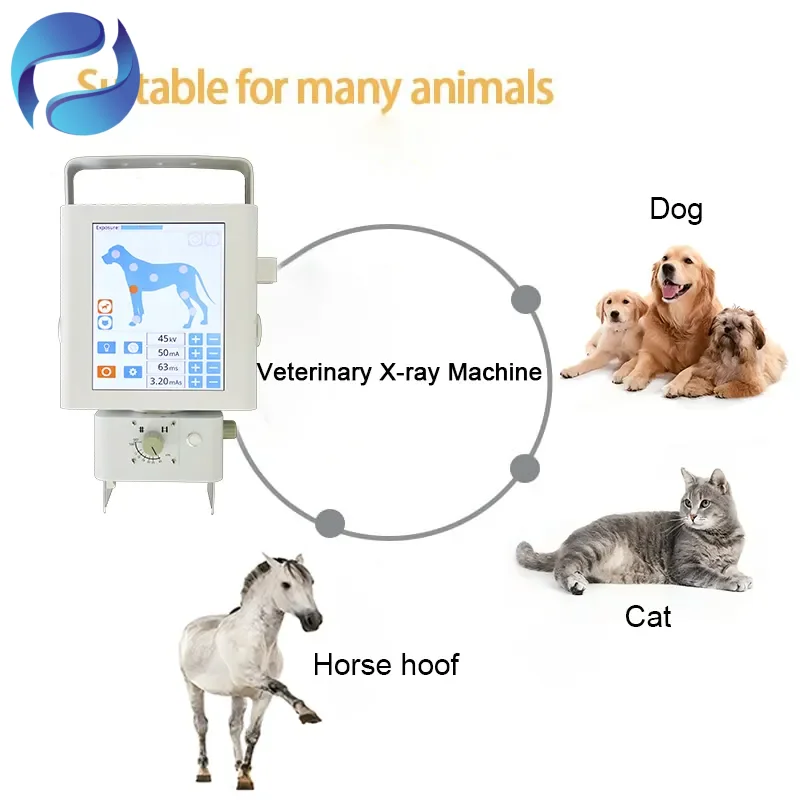 Professional HD Portable Veterinary X-ray Machine 10 Inch Touch Screen Equipment X-ray Machine for Pets and Farm Animals - Image 4