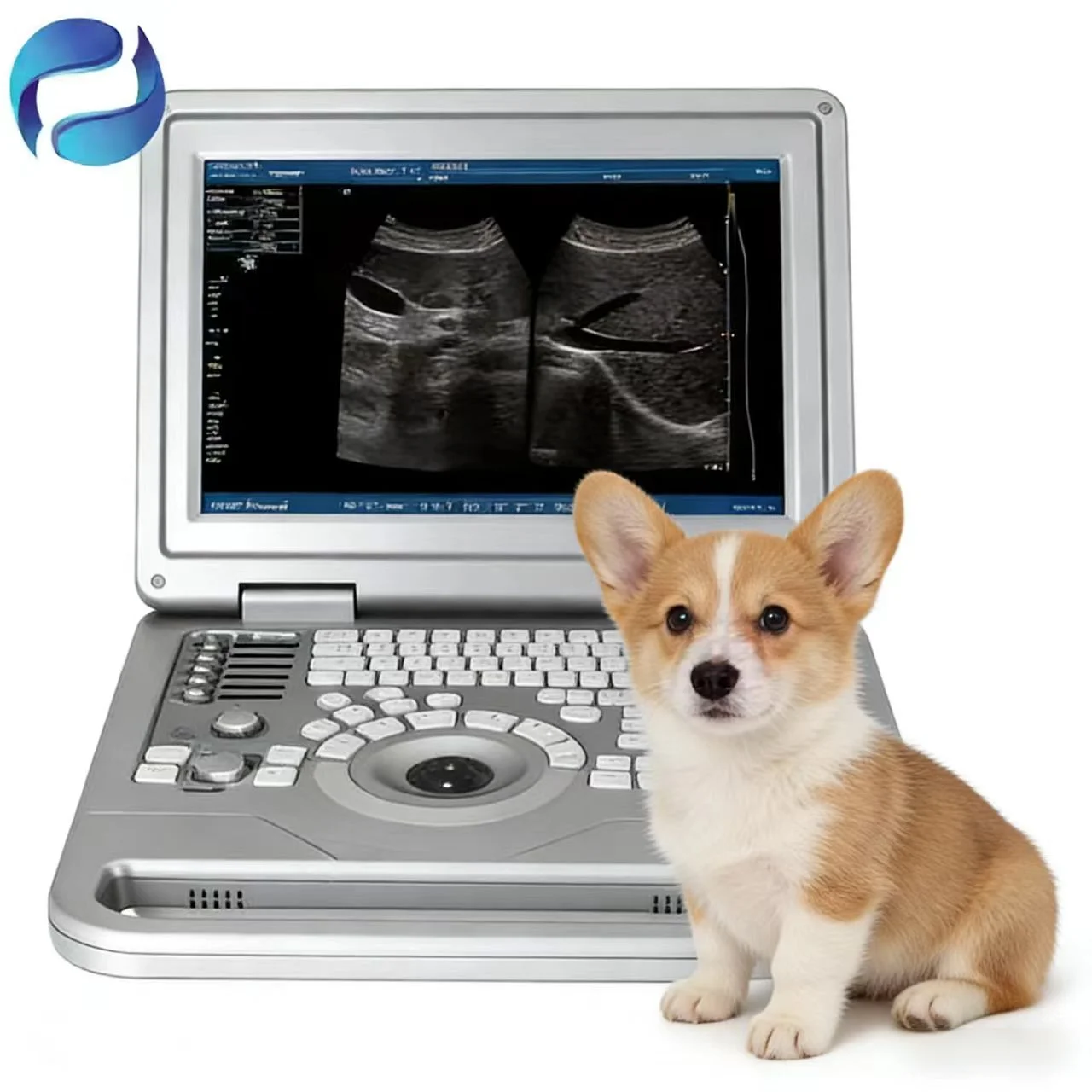 Factory Direct Sales Medical Full Digital Ultrasound System for Veterinary Diagnostic Imaging